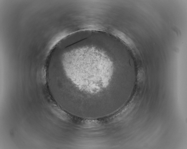 X0000110871310200906181154