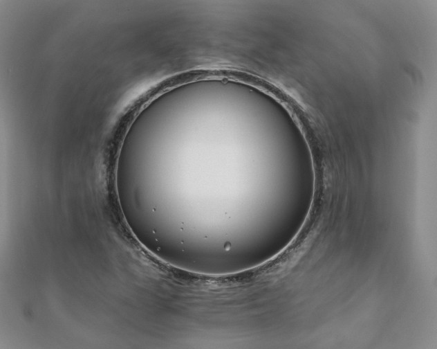 X0000110871311200906181154