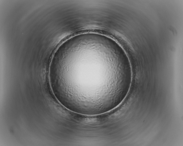 X0000110871313200906181154