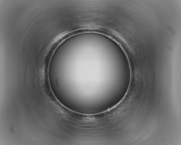 X0000110871315200906181154