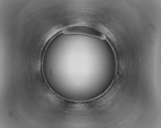 X0000110871316200906181154