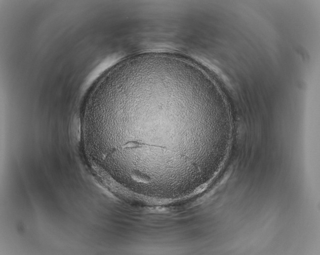 X0000110871317200906181154