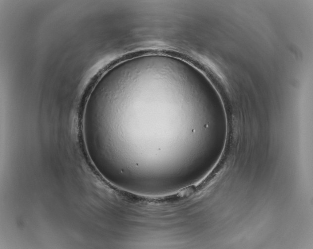 X0000110871318200906181154