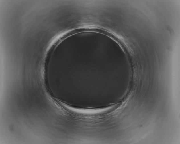 X0000110871319200906181154