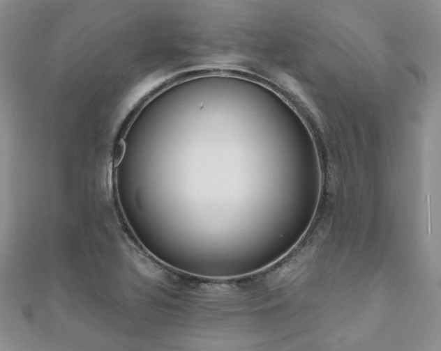 X0000110871320200906181154