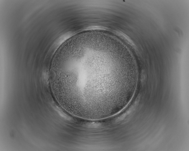X0000110871321200906181154