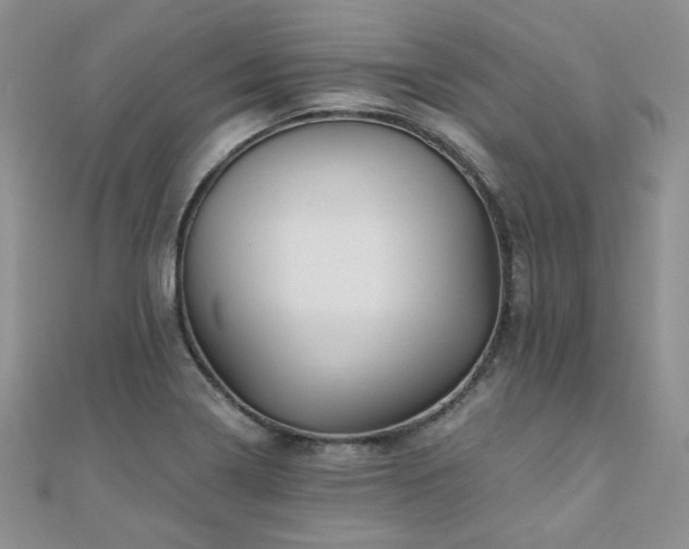 X0000110871322200906181154