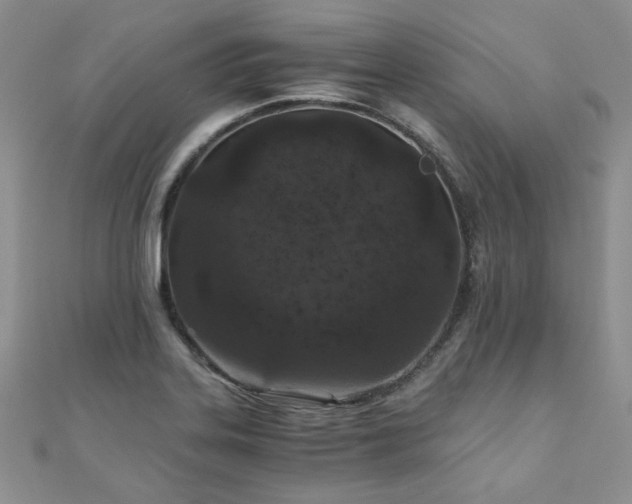 X0000110871323200906181154