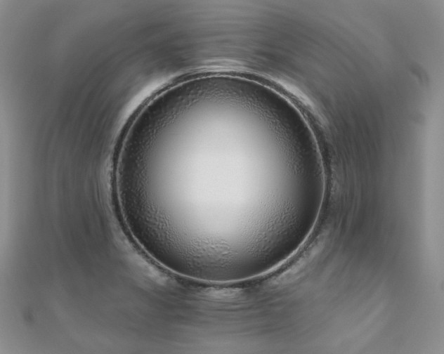 X0000110871325200906181154