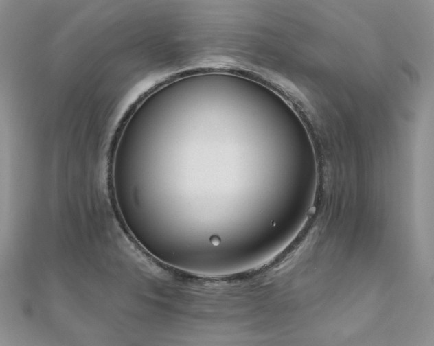 X0000110871326200906181154