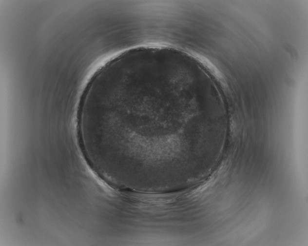 X0000110871327200906181154