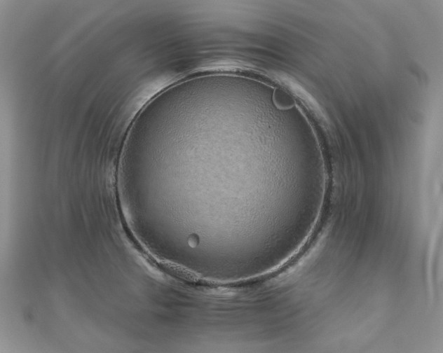 X0000110871329200906181154