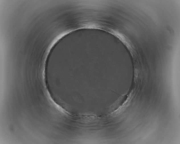 X0000110871331200906181154