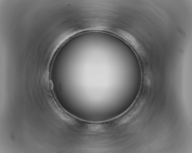 X0000110871332200906181154