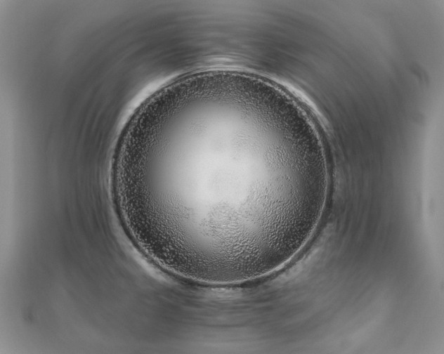 X0000110871333200906181154