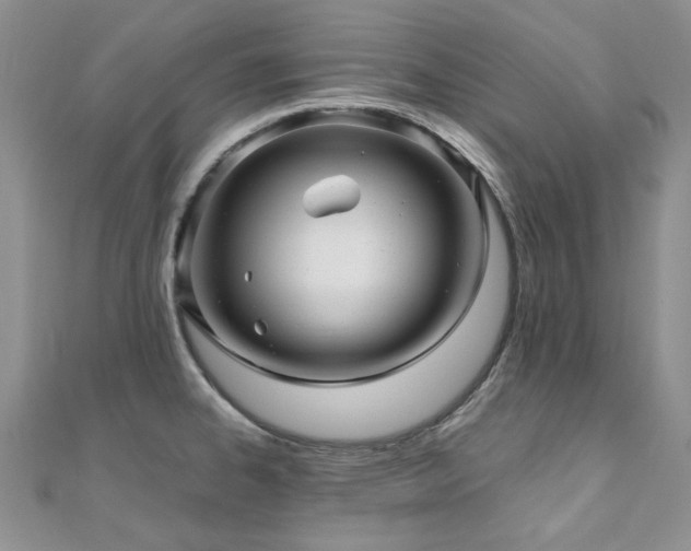 X0000110871334200906181154