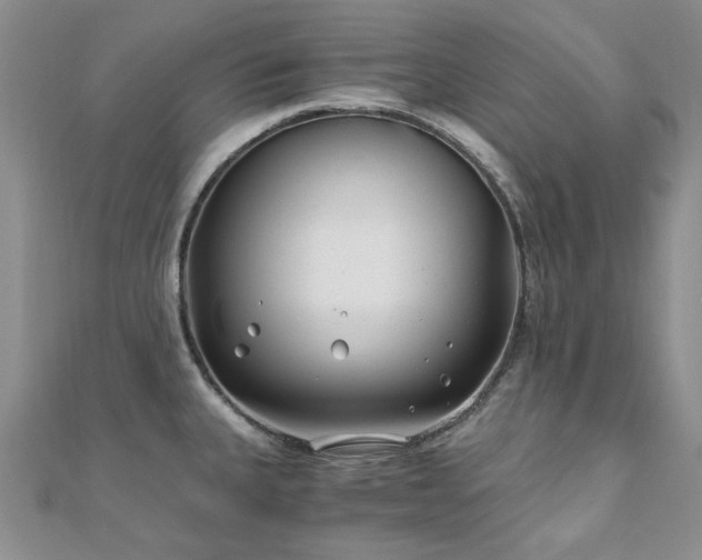 X0000110871335200906181154