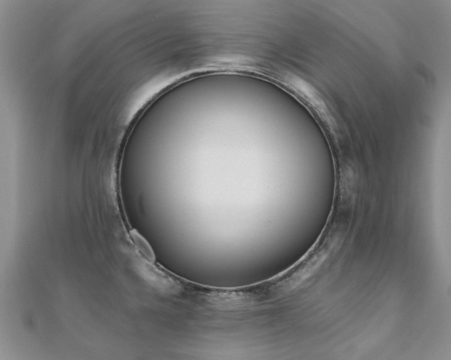 X0000110871336200906181154