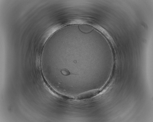 X0000110871337200906181154