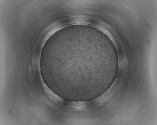 X0000110871338200906181154