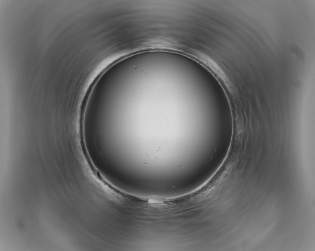 X0000110871339200906181154