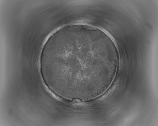 X0000110871341200906181154