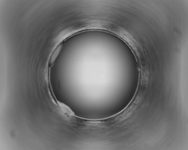 X0000110871342200906181154