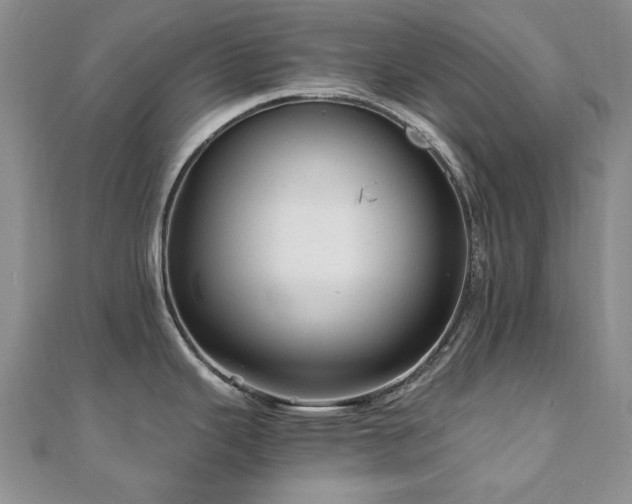 X0000110871343200906181154