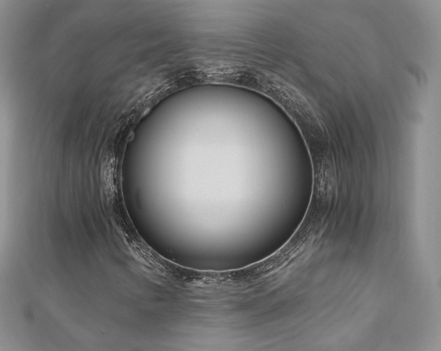 X0000110871346200906181153