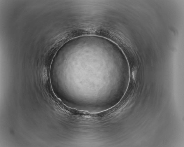 X0000110871347200906181153