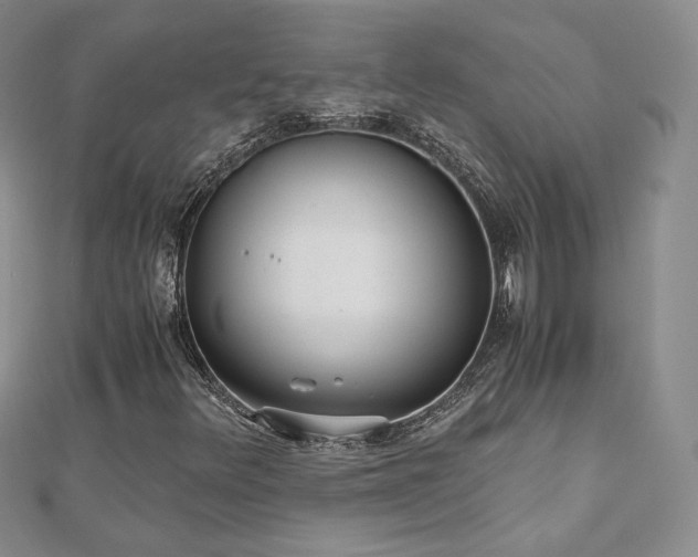 X0000110871348200906181153