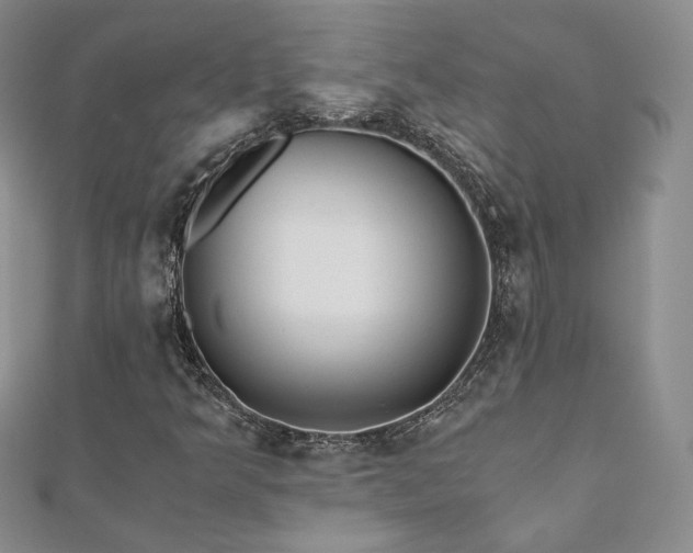 X0000110871349200906181153