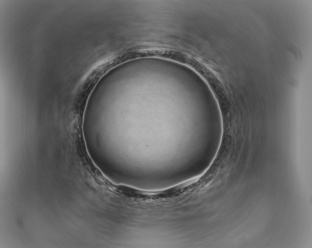 X0000110871351200906181153