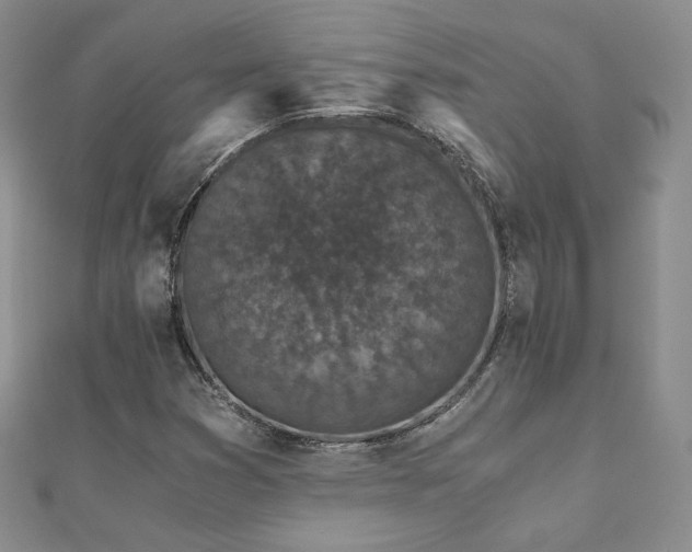 X0000110871353200906181153