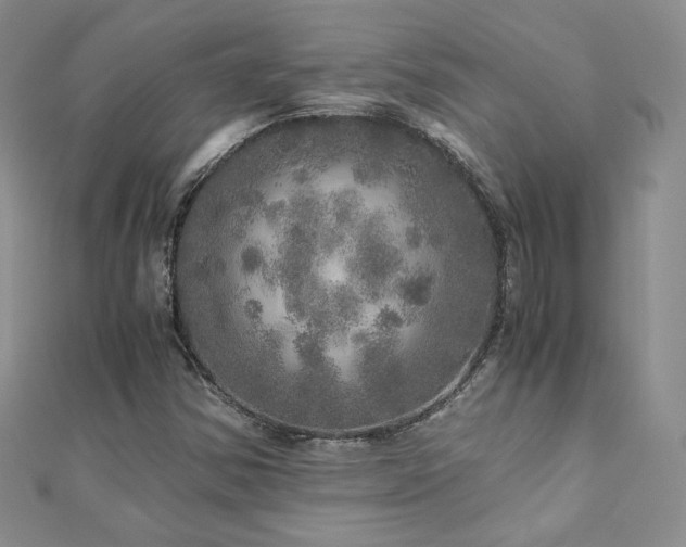 X0000110871354200906181153