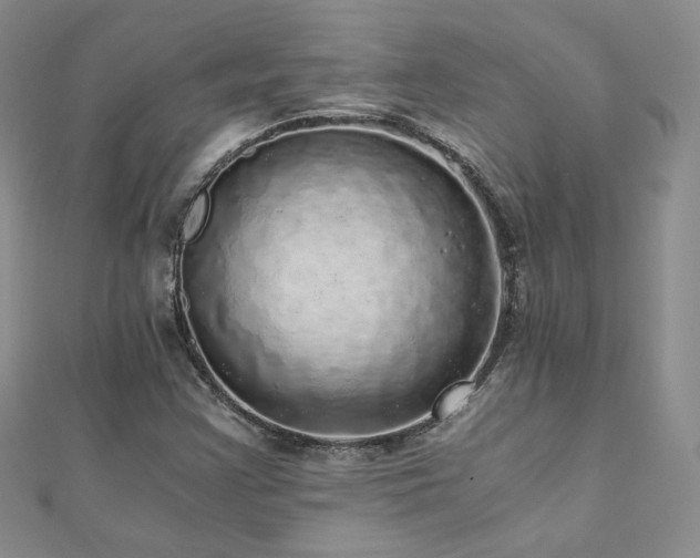 X0000110871355200906181153