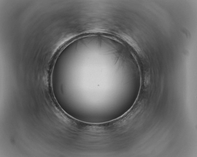 X0000110871356200906181153