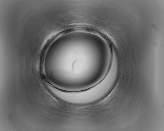 X0000110871357200906181153