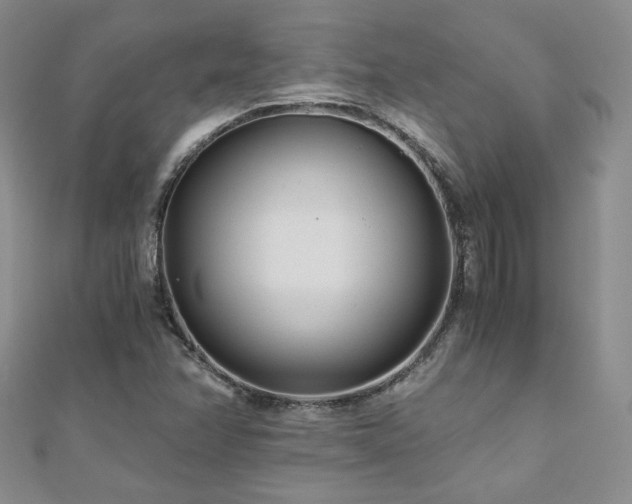 X0000110871358200906181153