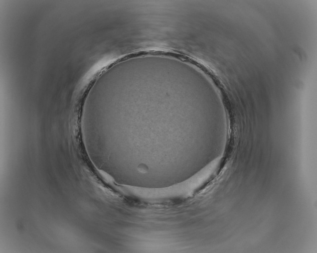 X0000110871359200906181153