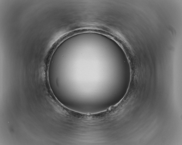 X0000110871360200906181153