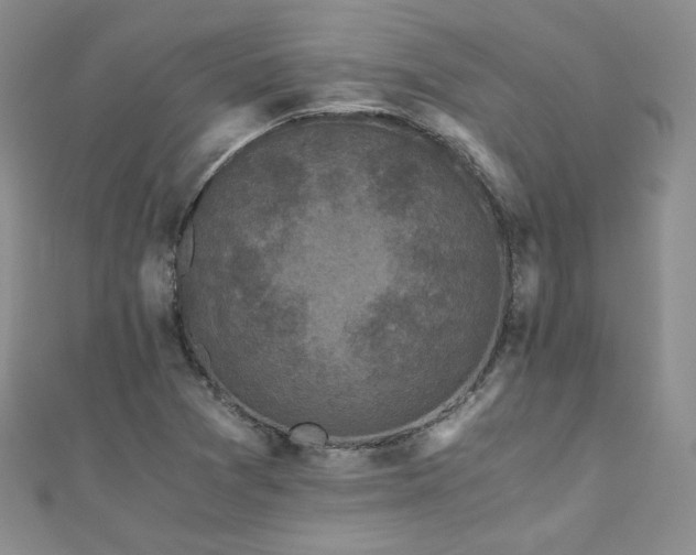 X0000110871361200906181153