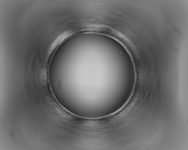 X0000110871362200906181153