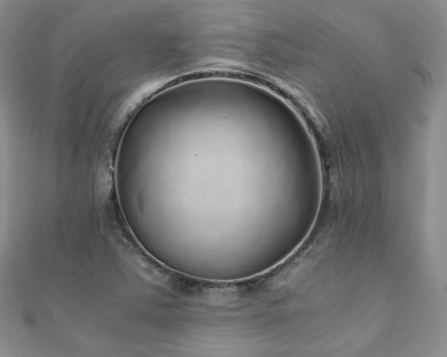 X0000110871363200906181153