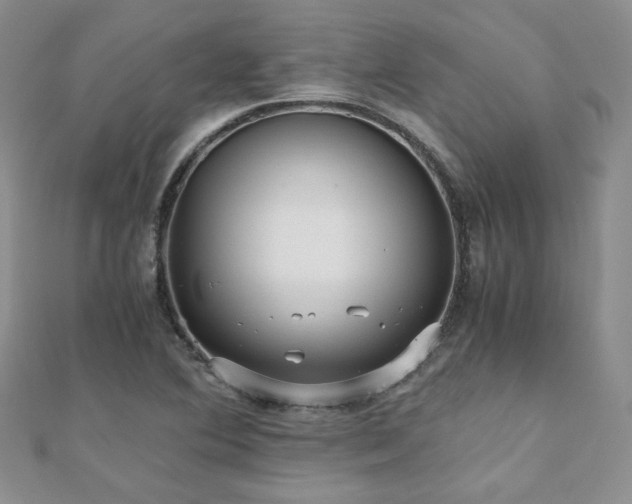 X0000110871364200906181153