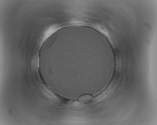 X0000110871365200906181153