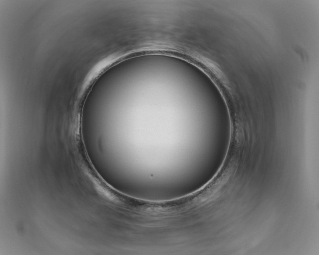 X0000110871366200906181153