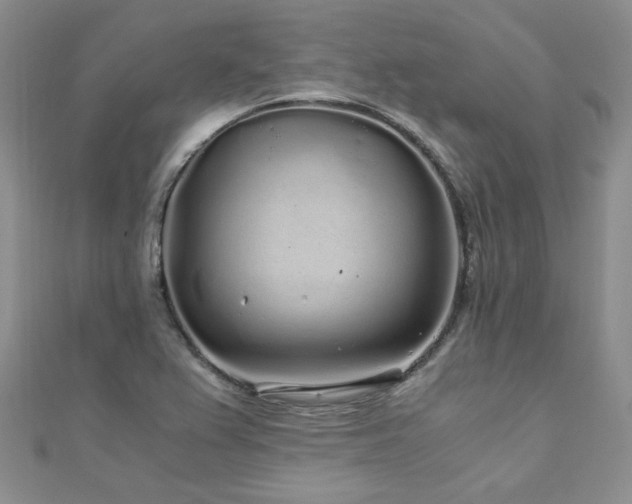 X0000110871367200906181153