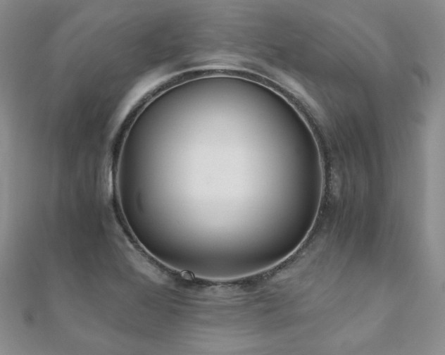 X0000110871368200906181153