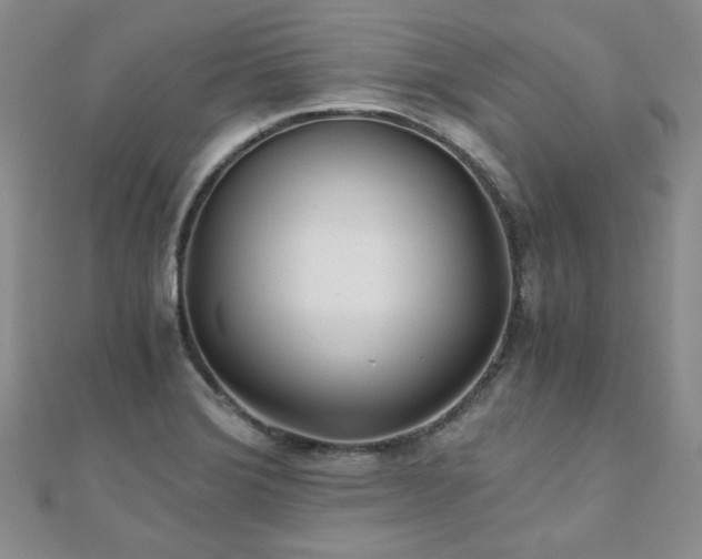 X0000110871372200906181153